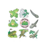 Lifecycle Jigsaws - Set of 4 - Modern Teaching Aids NZ