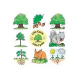 Lifecycle Jigsaws - Set of 4 - Modern Teaching Aids NZ