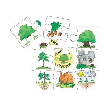 Lifecycle Jigsaws - Set of 4 - Modern Teaching Aids NZ