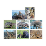 Mothers & Their Young Puzzles - Set of 8 - Modern Teaching Aids NZ