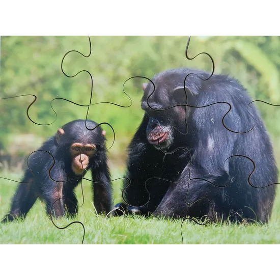 Mothers & Their Young Puzzles - Set of 8 - Modern Teaching Aids NZ