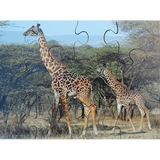 Mothers & Their Young Puzzles - Set of 8 - Modern Teaching Aids NZ