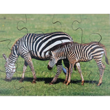 Mothers & Their Young Puzzles - Set of 8 - Modern Teaching Aids NZ