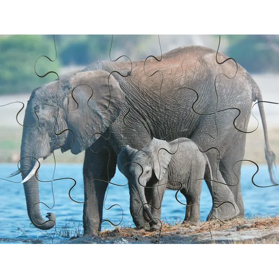 Mothers & Their Young Puzzles - Set of 8 - Modern Teaching Aids NZ