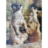 Mothers & Their Young Puzzles - Set of 8 - Modern Teaching Aids NZ