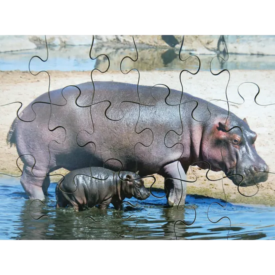 Mothers & Their Young Puzzles - Set of 8 - Modern Teaching Aids NZ