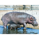 Mothers & Their Young Puzzles - Set of 8 - Modern Teaching Aids NZ