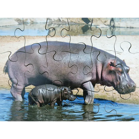 Mothers & Their Young Puzzles - Set of 8 - Modern Teaching Aids NZ