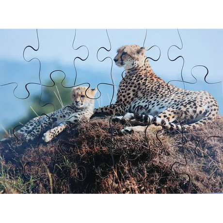 Mothers & Their Young Puzzles - Set of 8 - Modern Teaching Aids NZ