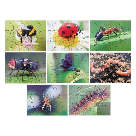 Mini Beasts Puzzles Set of 8 - Modern Teaching Aids NZ