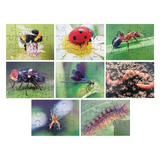 Mini Beasts Puzzles Set of 8 - Modern Teaching Aids NZ
