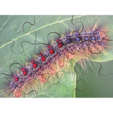 Mini Beasts Puzzles Set of 8 - Modern Teaching Aids NZ