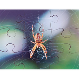 Mini Beasts Puzzles Set of 8 - Modern Teaching Aids NZ