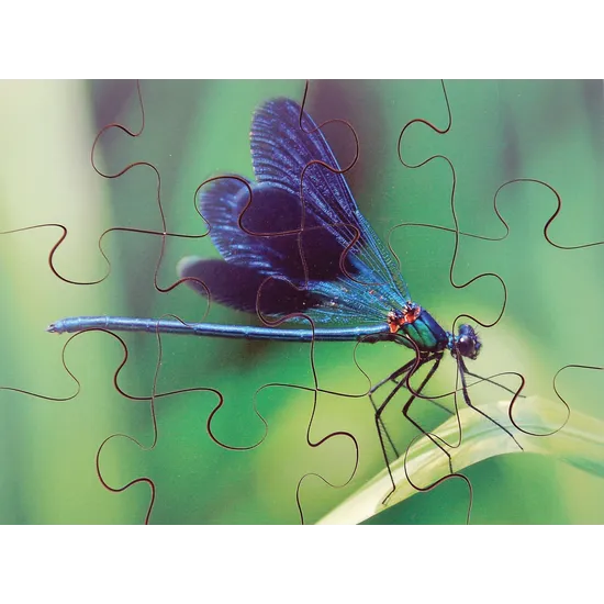 Mini Beasts Puzzles Set of 8 - Modern Teaching Aids NZ