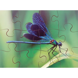 Mini Beasts Puzzles Set of 8 - Modern Teaching Aids NZ