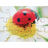 Mini Beasts Puzzles Set of 8 - Modern Teaching Aids NZ