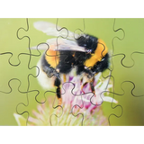 Mini Beasts Puzzles Set of 8 - Modern Teaching Aids NZ