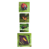 Insect Life Cycles Layered Puzzle - Set of 3 - Modern Teaching Aids NZ