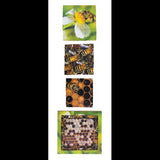 Insect Life Cycles Layered Puzzle - Set of 3 - Modern Teaching Aids NZ