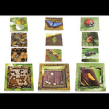 Insect Life Cycles Layered Puzzle - Set of 3 - Modern Teaching Aids NZ
