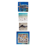 Aquatic Life Cycles Layered Puzzle - Set of 3 - Modern Teaching Aids NZ
