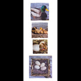 Aquatic Life Cycles Layered Puzzle - Set of 3 - Modern Teaching Aids NZ