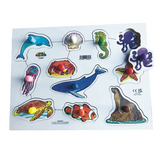 Assorted Peg Puzzle Set of 4 - Modern Teaching Aids NZ
