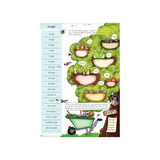 Jolly Grammar Pupil Book Precursive 6 - Modern Teaching Aids NZ