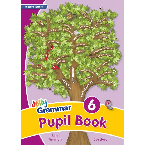 Jolly Grammar Pupil Book -  Print 6