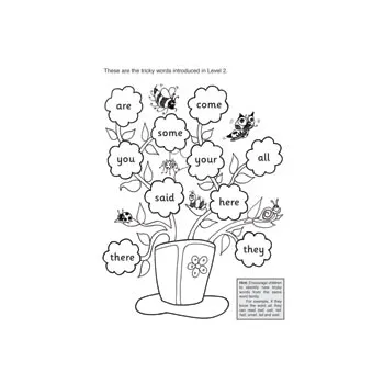 Jolly Phonics Decodable Readers Level 2 - Modern Teaching Aids NZ