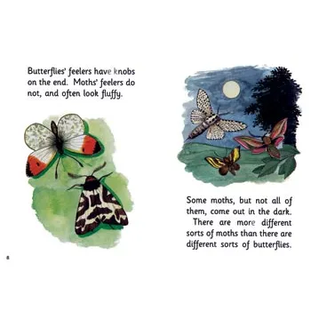 Jolly Phonics Decodable Readers Level 2 - Modern Teaching Aids NZ