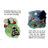 Jolly Phonics Decodable Readers Level 2 - Modern Teaching Aids NZ