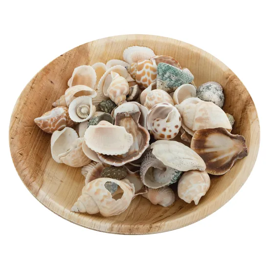 Palm Leaf Eco Plate 18 cm - Pack of 25 - Modern Teaching Aids NZ