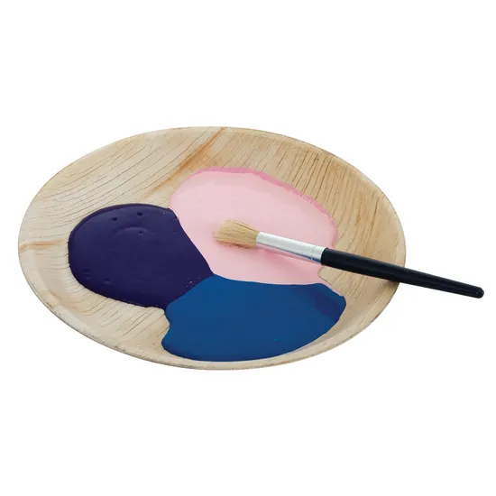 Palm Leaf Eco Plate 25 cm - Pack of 25 - Modern Teaching Aids NZ