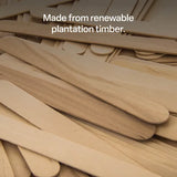 Jumbo Pop Sticks - Pack of 100 - Modern Teaching Aids NZ