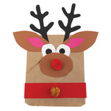 Kraft Paper Bag - Pack of 500 - Modern Teaching Aids NZ