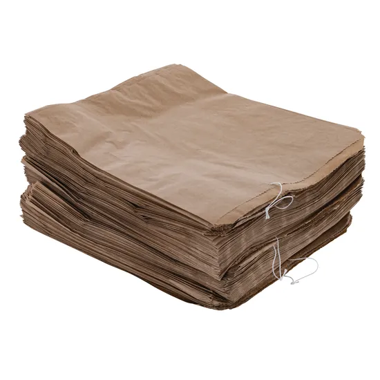 Kraft Paper Bag - Pack of 500 - Modern Teaching Aids NZ