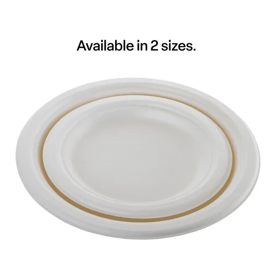 White Sugar Cane Eco Plate  18cm - Pk 50 - Modern Teaching Aids NZ