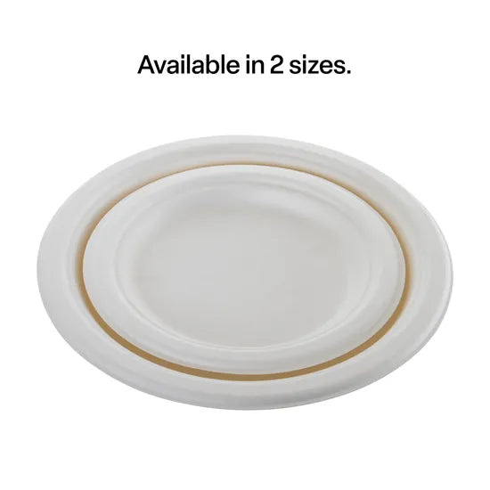White Sugar Cane Eco Plate  23cm - Pk 50 - Modern Teaching Aids NZ