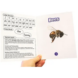 Science Decodables - Phase 3 Phonics - Modern Teaching Aids NZ