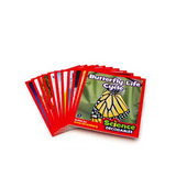 Science Decodables - Phase 6 Spelling - Modern Teaching Aids NZ