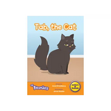 HiLo Diversity Decodable - Letter Sounds (Phase 2) - Modern Teaching Aids NZ