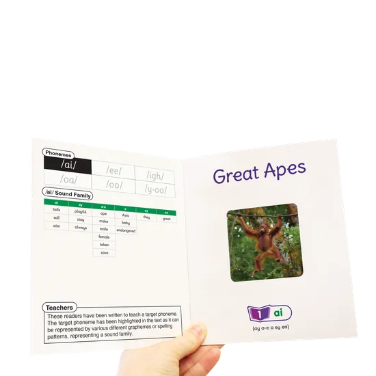 Sound Families Long Vowels Non-Fiction Phase 5.5 - Modern Teaching Aids NZ