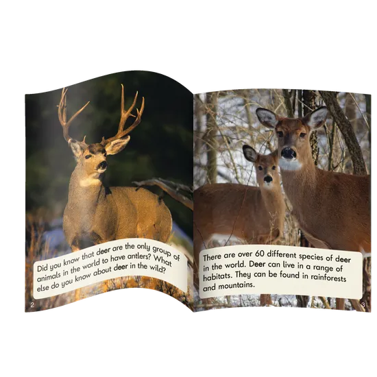 Sound Families R-controlled Non-Fiction Phase 5.5 - Modern Teaching Aids NZ