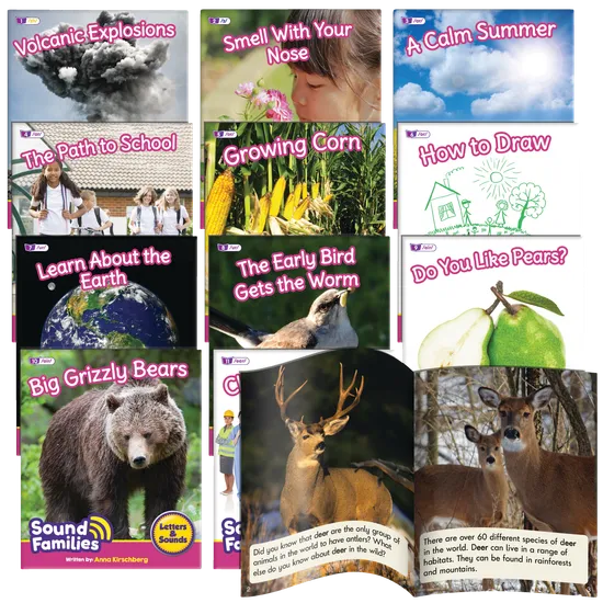 Sound Families R-controlled Non-Fiction Phase 5.5 - Modern Teaching Aids NZ