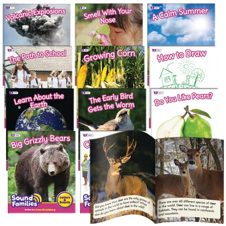 Sound Families R-controlled Non-Fiction Phase 5.5 - Modern Teaching Aids NZ