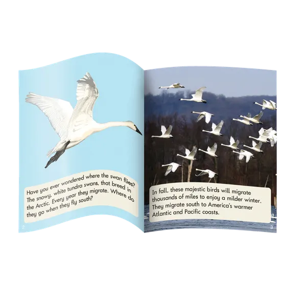 Fix Its Suffixes Non-Fiction Phase 6 - Modern Teaching Aids NZ