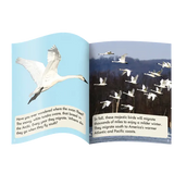 Fix Its Suffixes Non-Fiction Phase 6 - Modern Teaching Aids NZ