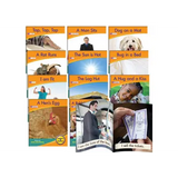 Decodable Reader - Letter Sound Non-Fiction Phase - Modern Teaching Aids NZ