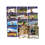 Decodable Reader - Phonics Non-Fiction Phase 3 (Se - Modern Teaching Aids NZ